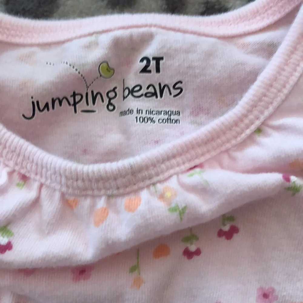 Carter’s & Jumping Beans Skirt and Top Outfit Pink 2T
